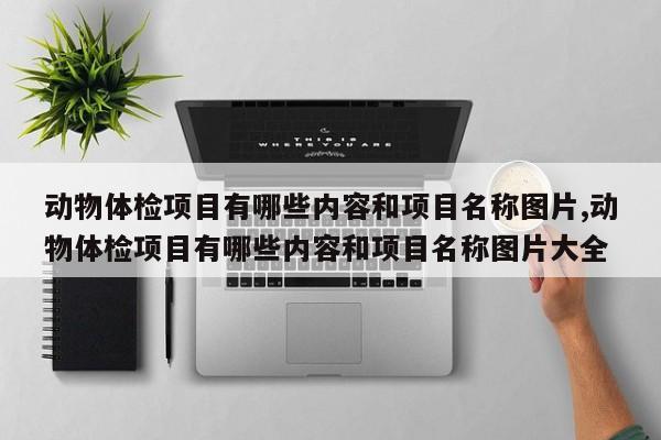 动物体检项目有哪些内容和项目名称图片,动物体检项目有哪些内容和项目名称图片大全