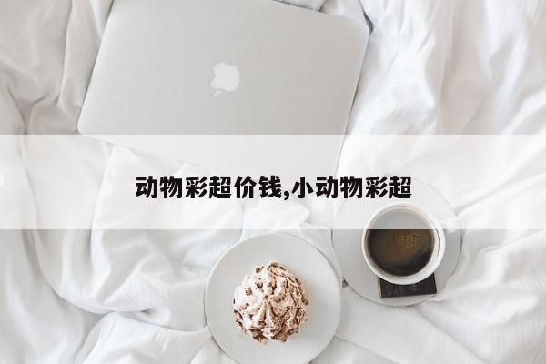 动物彩超价钱,小动物彩超