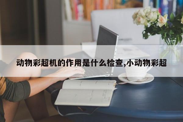 动物彩超机的作用是什么检查,小动物彩超