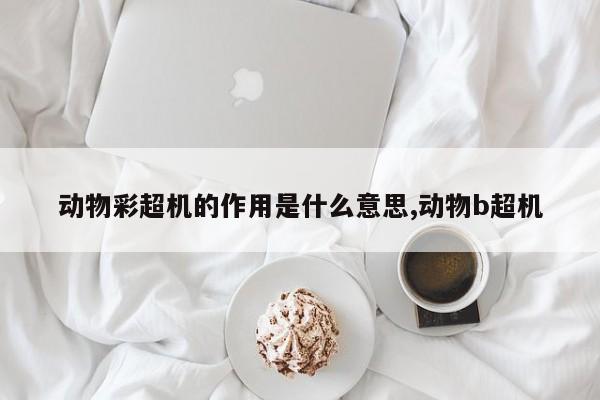 动物彩超机的作用是什么意思,动物b超机