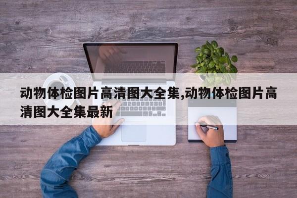 动物体检图片高清图大全集,动物体检图片高清图大全集最新