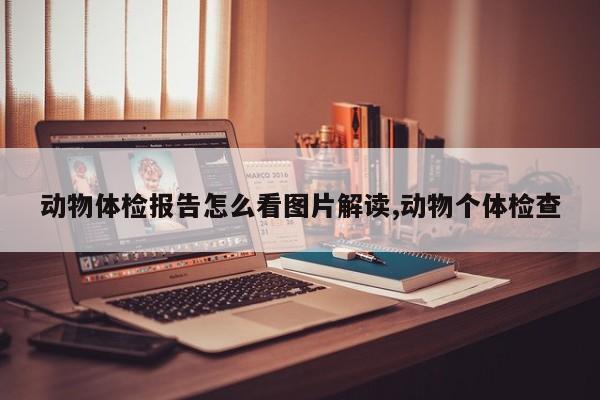 动物体检报告怎么看图片解读,动物个体检查