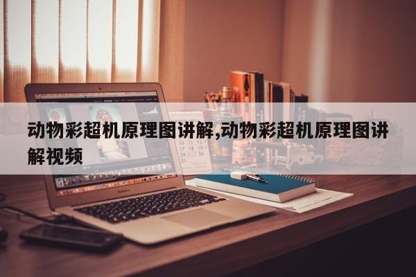 动物彩超机原理图讲解,动物彩超机原理图讲解视频