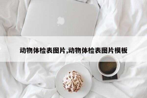 动物体检表图片,动物体检表图片模板