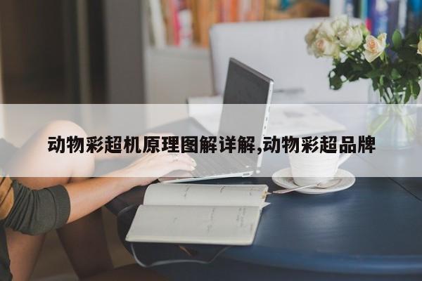 动物彩超机原理图解详解,动物彩超品牌
