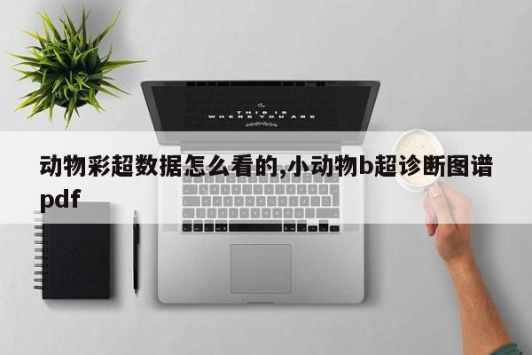 动物彩超数据怎么看的,小动物b超诊断图谱pdf