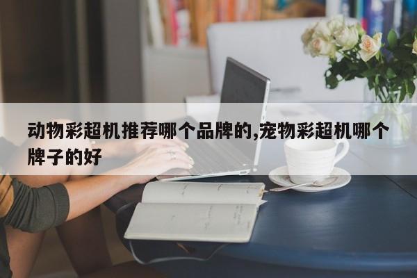 动物彩超机推荐哪个品牌的,宠物彩超机哪个牌子的好