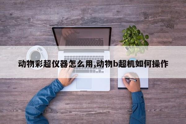 动物彩超仪器怎么用,动物b超机如何操作