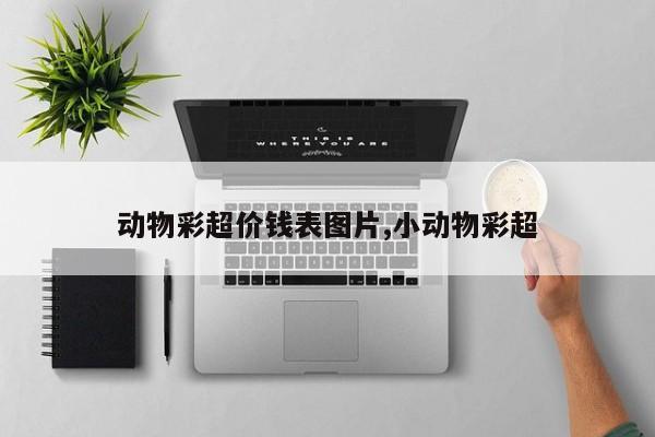 动物彩超价钱表图片,小动物彩超