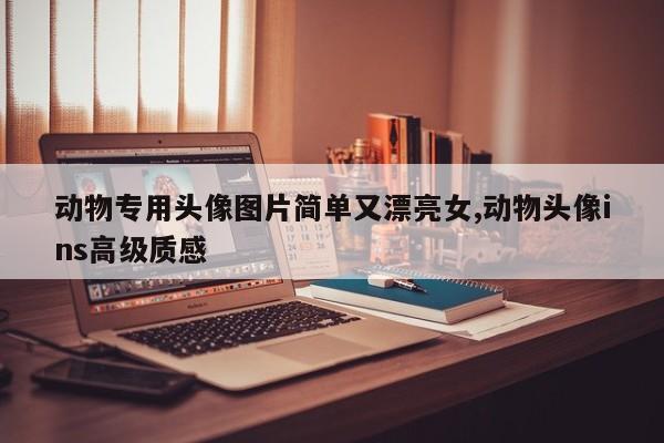 动物专用头像图片简单又漂亮女,动物头像ins高级质感